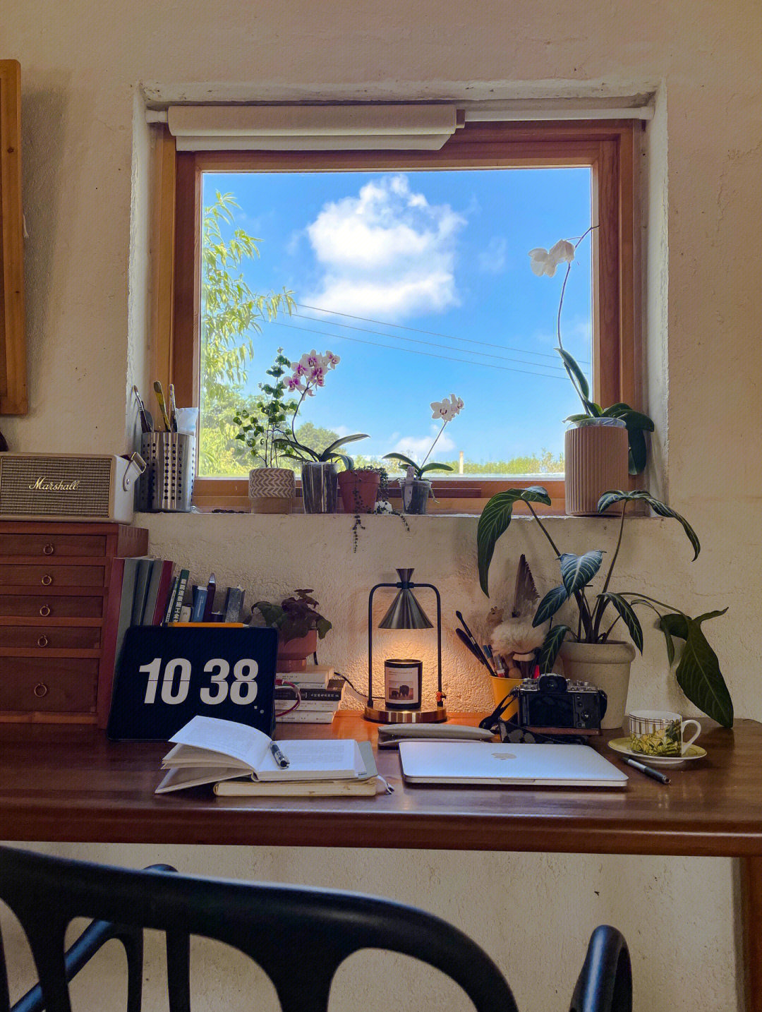 Rời xa thành phố, cặp đôi chọn thuê đảo hoang 20.000m² để sống an nhàn “dưỡng già”: Ai cũng mơ ước nhưng không phải ai cũng đủ dũng cảm để thực hiện!- Ảnh 18.