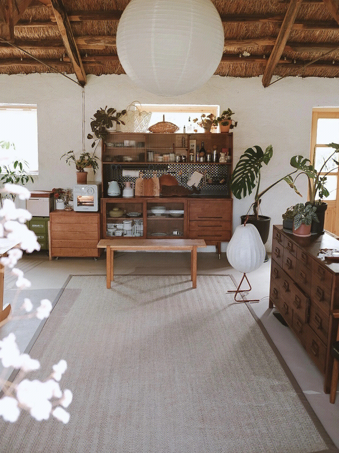 Rời xa thành phố, cặp đôi chọn thuê đảo hoang 20.000m² để sống an nhàn “dưỡng già”: Ai cũng mơ ước nhưng không phải ai cũng đủ dũng cảm để thực hiện!- Ảnh 17.