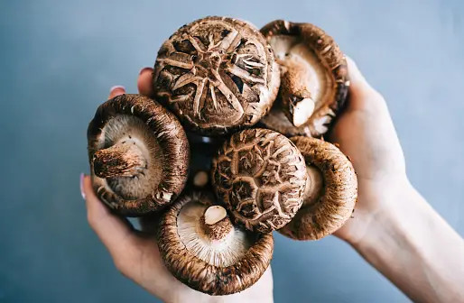 Gặp 5 loại rau này ở chợ nên mua ngay, điểm chung là vị đắng nhưng bổ dưỡng hơn nhân sâm, giúp kéo dài tuổi thọ- Ảnh 5. Gặp 5 loại rau này ở chợ nên mua ngay, điểm chung là vị đắng nhưng bổ dưỡng hơn nhân sâm, giúp kéo dài tuổi thọ- Ảnh 5.