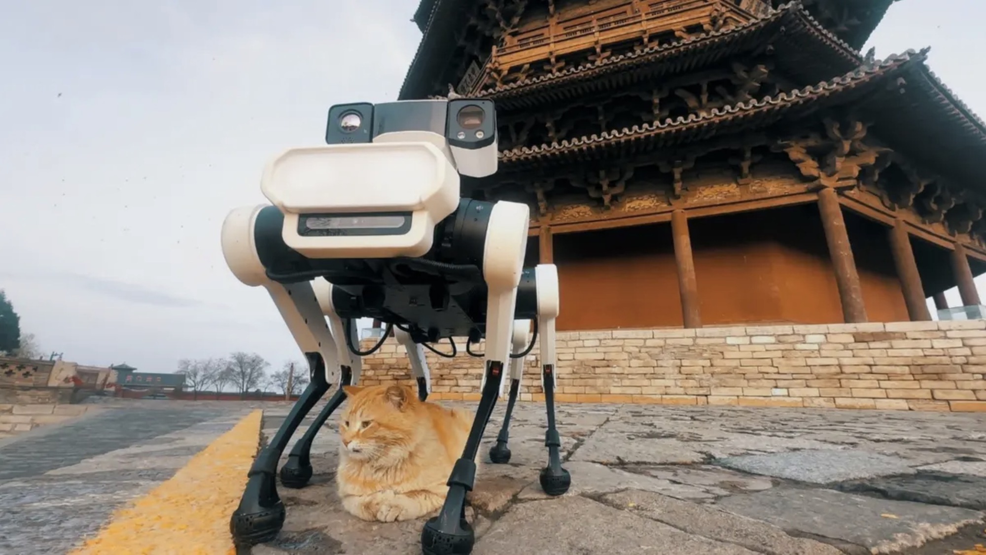 Lenovo dùng robot chó 6 chân tích hợp AI để bảo vệ chùa tháp gỗ cao nhất thế giới- Ảnh 2. Lenovo dùng robot chó 6 chân tích hợp AI để bảo vệ chùa tháp gỗ cao nhất thế giới- Ảnh 2.
