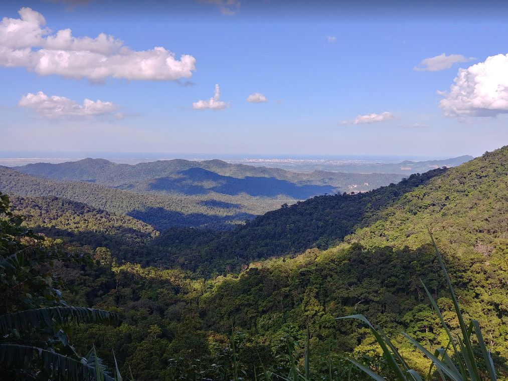 Việt Nam có 1 nơi được tạp chí Mỹ ca ngợi "đẹp nhất thế giới": Sở hữu "cung điện dưới lòng đất", cả triệu người đến check-in- Ảnh 6.