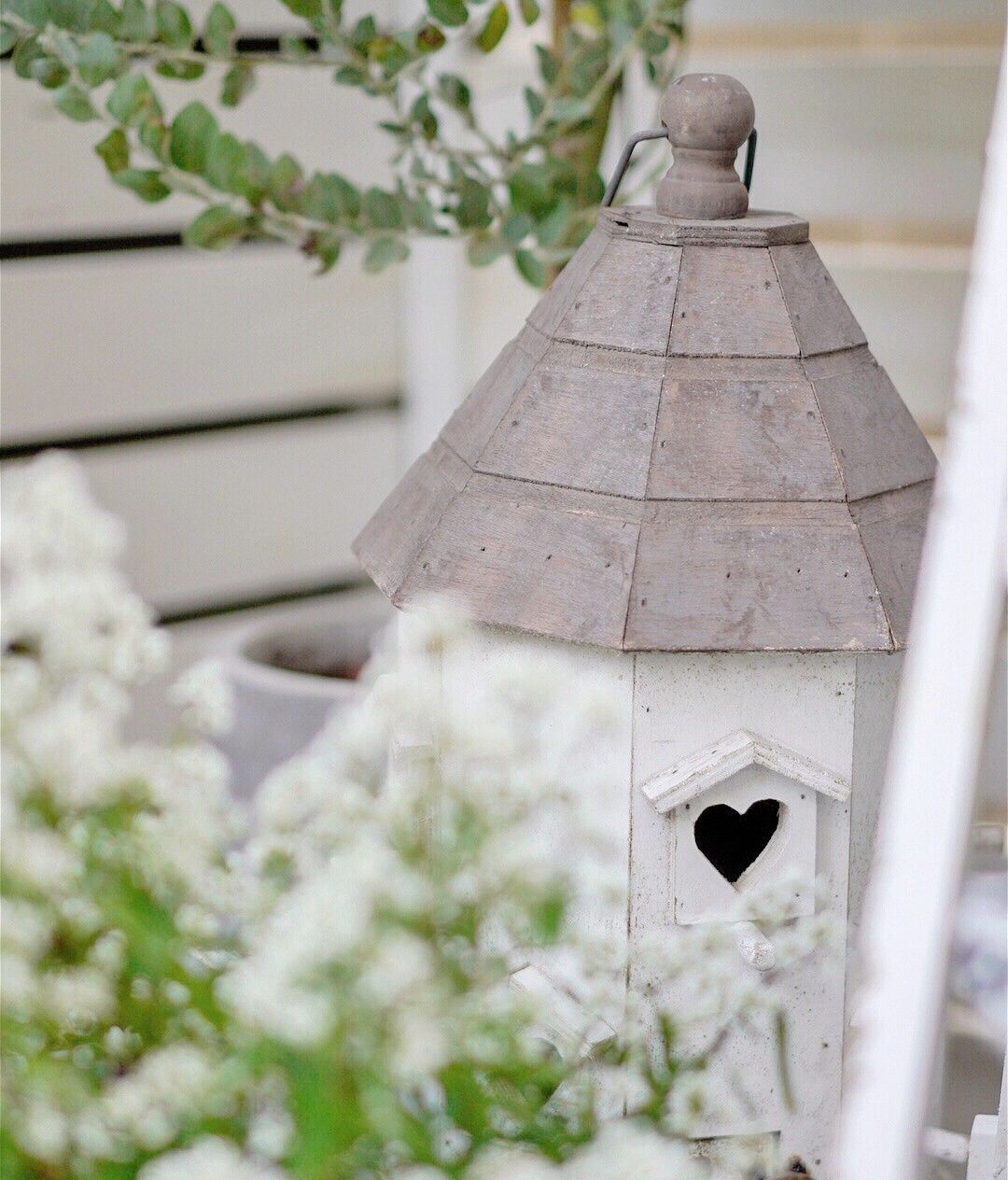 Chỉ vỏn vẹn 20m2 nhưng khu vườn sân thượng của đôi vợ chồng này như 1 