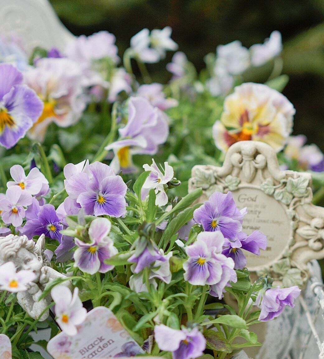 Chỉ vỏn vẹn 20m2 nhưng khu vườn sân thượng của đôi vợ chồng này như 1 