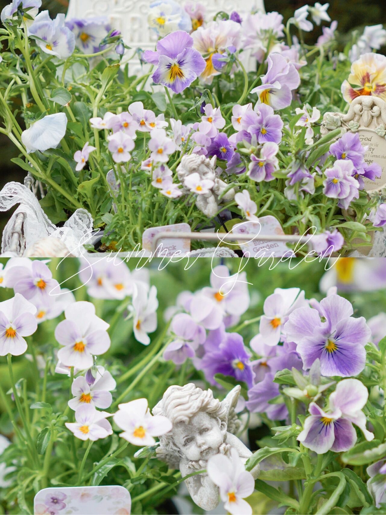 Chỉ vỏn vẹn 20m2 nhưng khu vườn sân thượng của đôi vợ chồng này như 1 