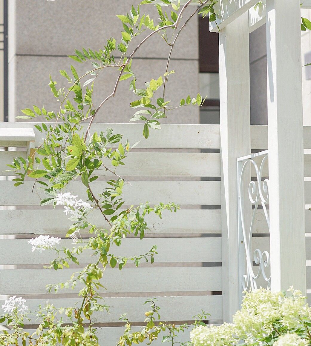 Chỉ vỏn vẹn 20m2 nhưng khu vườn sân thượng của đôi vợ chồng này như 1 