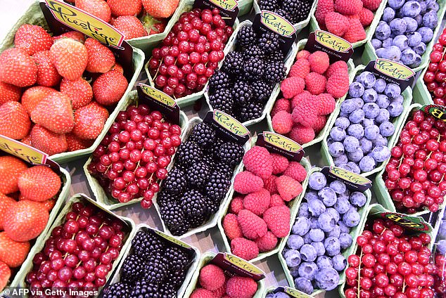 Vi nhựa "lấp đầy" não người: Những siêu thực phẩm giá rẻ có thể bảo vệ bạn khỏi tác hại chết người của vi nhựa- Ảnh 1.