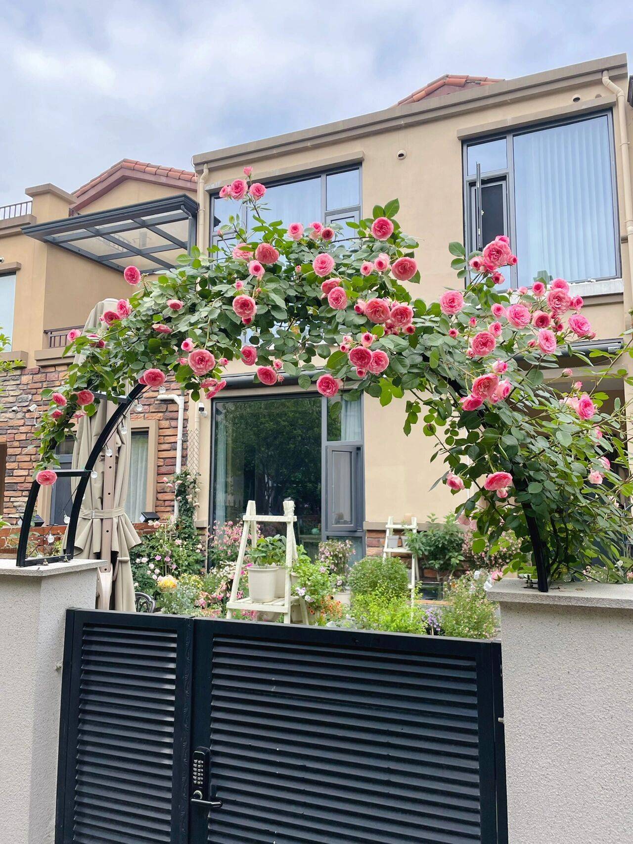 Ở tuổi 31, cô gái trẻ đã mua được căn nhà có sân vườn và sau 300 ngày, khu vườn đã nở rộ đầy hoa!- Ảnh 13. Ở tuổi 31, cô gái trẻ đã mua được căn nhà có sân vườn và sau 300 ngày, khu vườn đã nở rộ đầy hoa!- Ảnh 13.