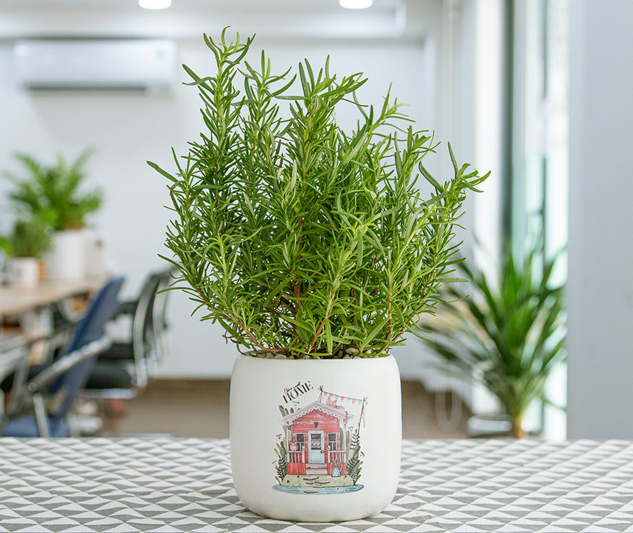 5 vật nhỏ nên đặt cạnh gối ngủ để giữ tài lộc không “đội nón ra đi”- Ảnh 3.