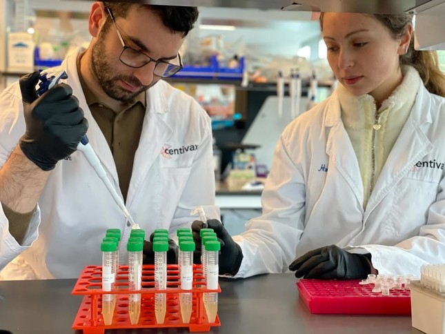 Tiêm nọc rắn để điều trị rắn cắn: Mạo hiểm hay đột phá khoa học?- Ảnh 2.