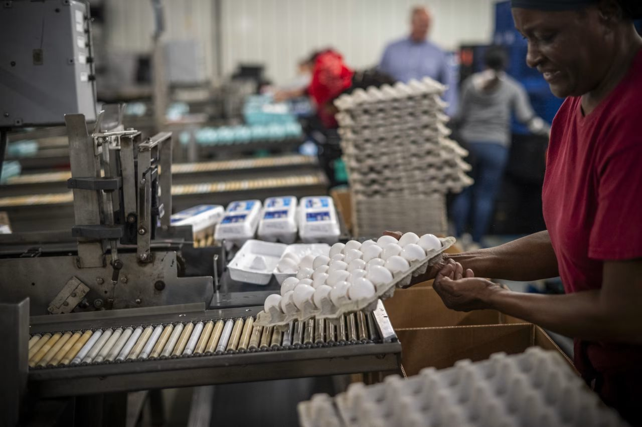 Khủng hoảng trứng tại Mỹ, một công ty tăng 4 lần lợi nhuận, ngồi trên 1 tỷ USD tiền mặt, khiến chính phủ phải điều tra- Ảnh 3.