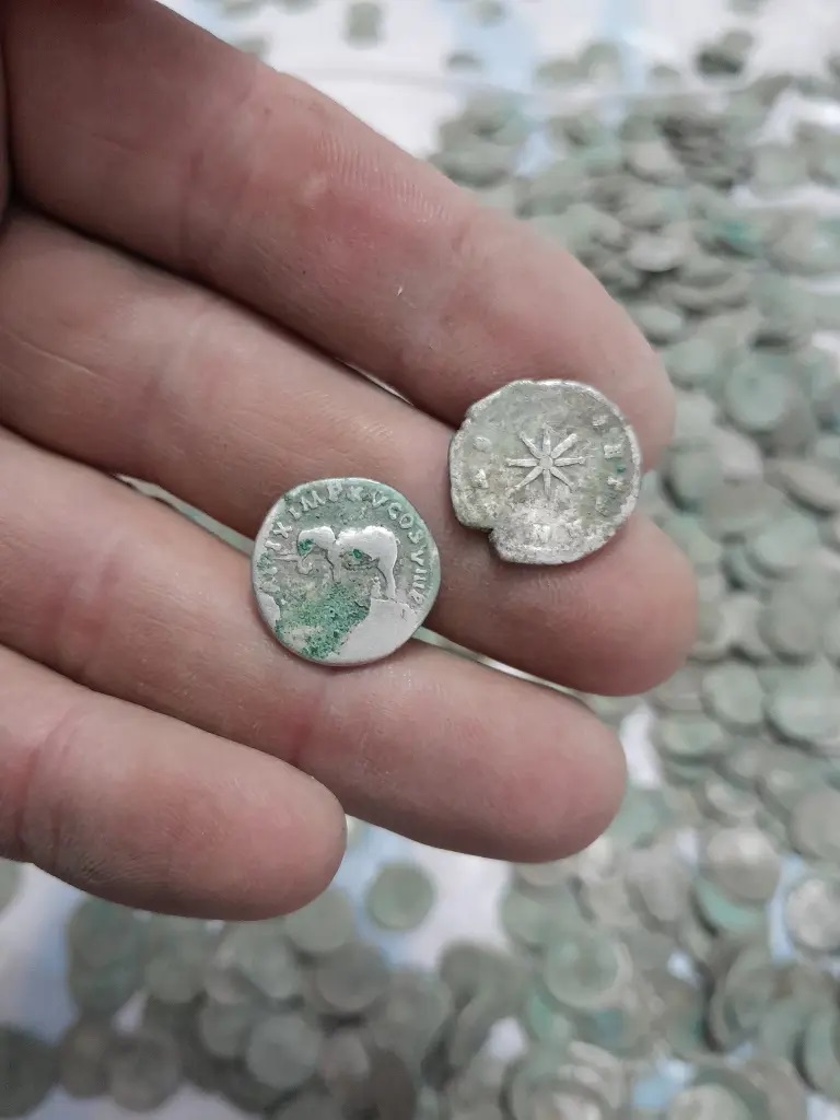 Người đàn ông tìm thấy kho báu vô giá khi đi dạo trên cánh đồng- Ảnh 3.