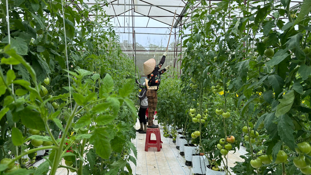 NÓNG: Cảnh báo thông tin tuyển dụng lao động đi Israel lan truyền trên mạng xã hội- Ảnh 1.