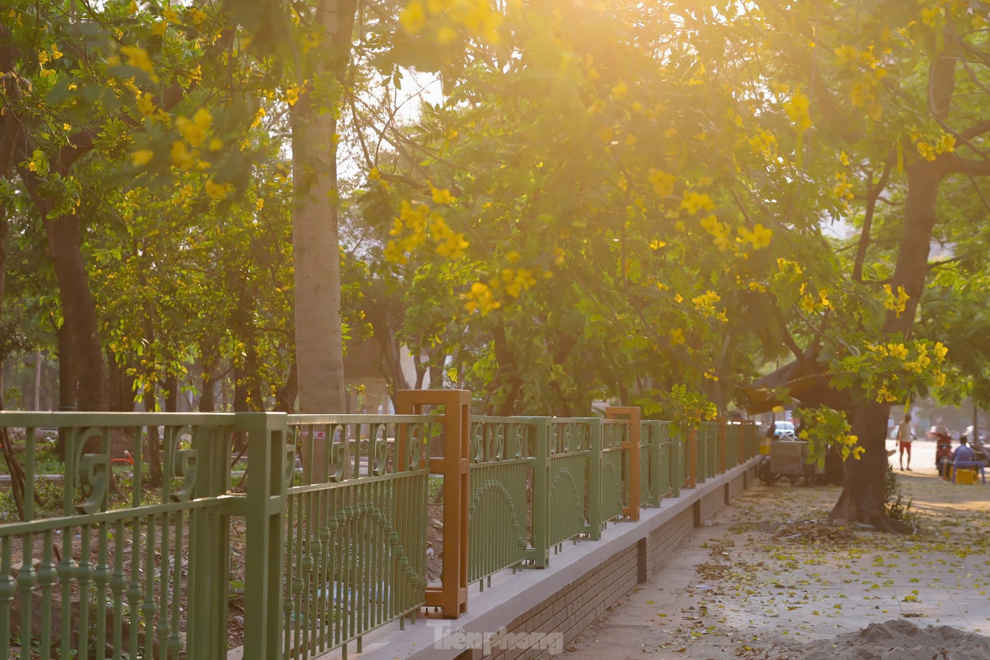 Cận cảnh 'lá phổi xanh' ở trung tâm Hà Nội đang được cải tạo- Ảnh 9.