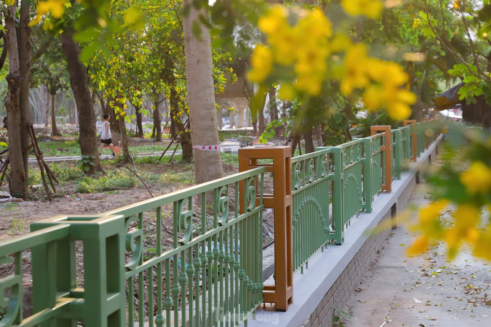 Cận cảnh 'lá phổi xanh' ở trung tâm Hà Nội đang được cải tạo- Ảnh 10.