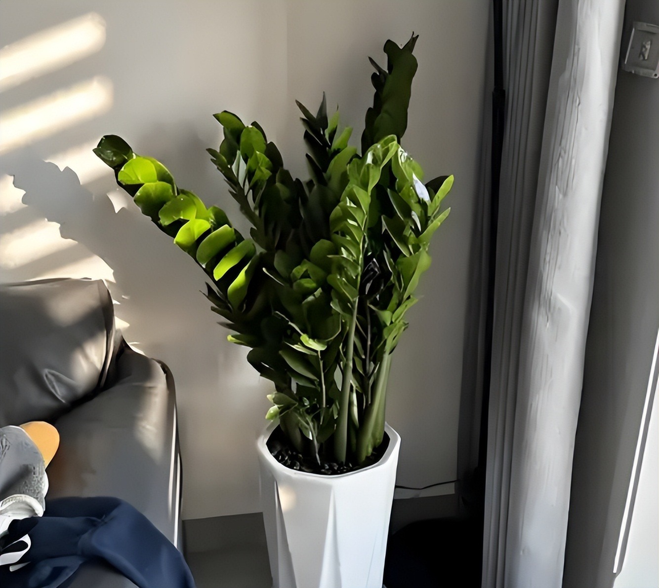 Người giàu đặt 6 thứ ở phòng khách "giữ chân" Thần Tài, con cháu 3 đời có của ăn của để- Ảnh 1.