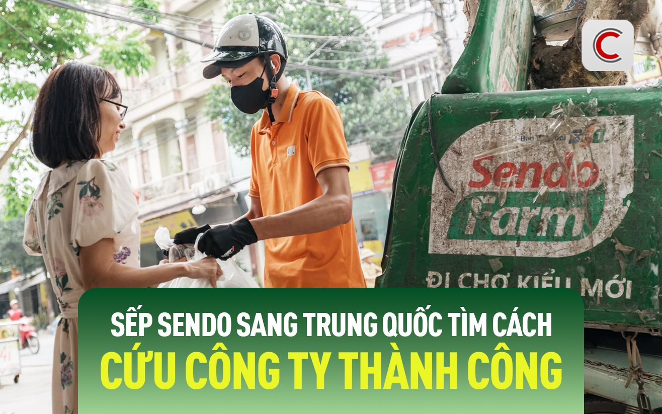 Làm điều chưa ai từng làm: Chuyện Sendo hồi sinh ngoạn mục nhờ từ bỏ TMĐT, thâm nhập thị trường ngách gần 3 tỷ USD, hút 1 triệu khách hàng- Ảnh 2.