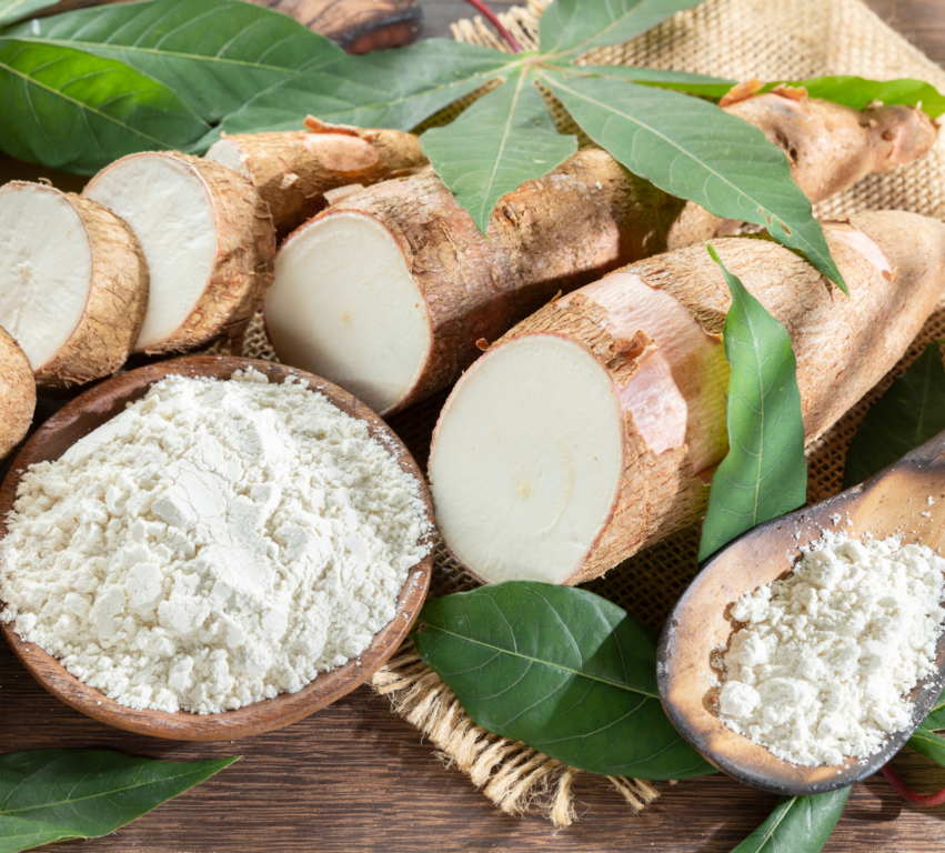 Một loại củ tỷ USD của Việt Nam đang được nước giàu thứ 2 châu Á săn lùng: Xuất khẩu tăng 1.265% trong tháng qua- Ảnh 1. Một loại củ tỷ USD của Việt Nam đang được nước giàu thứ 2 châu Á săn lùng: Xuất khẩu tăng 1.265% trong tháng qua- Ảnh 1.