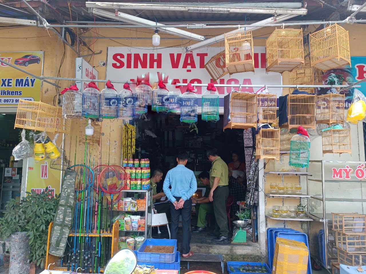 Chứng minh chim có nguồn gốc hợp pháp bằng cách nào, đăng ký nuôi chim cảnh thủ tục ra sao?- Ảnh 1. Chứng minh chim có nguồn gốc hợp pháp bằng cách nào, đăng ký nuôi chim cảnh thủ tục ra sao?- Ảnh 1.