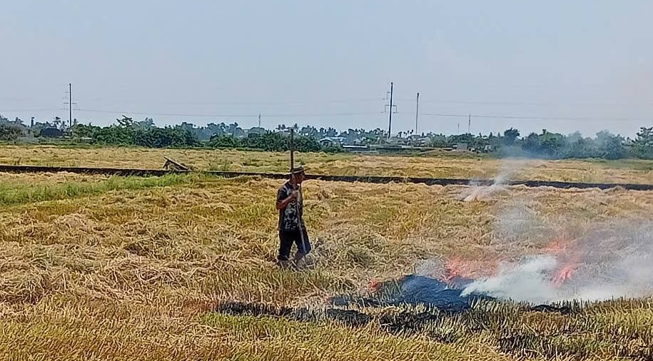 Đốt rơm rạ, một nông dân nhận cái kết "đắng" vì bỏ chạy- Ảnh 2.