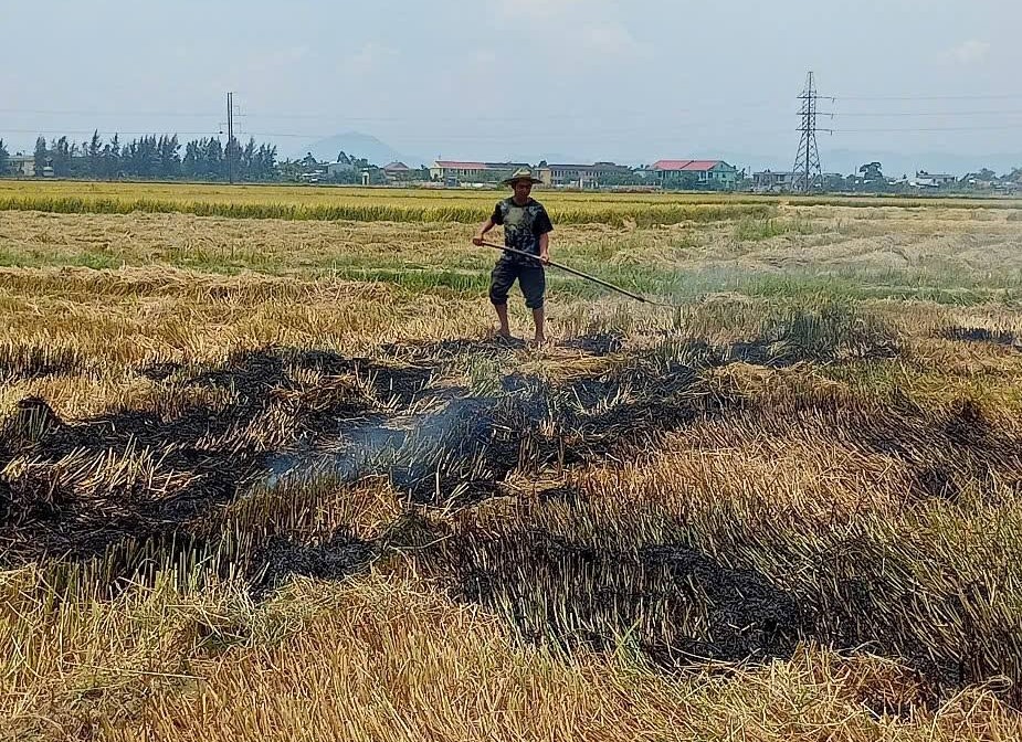 Đốt rơm rạ, một nông dân nhận cái kết "đắng" vì bỏ chạy- Ảnh 1.