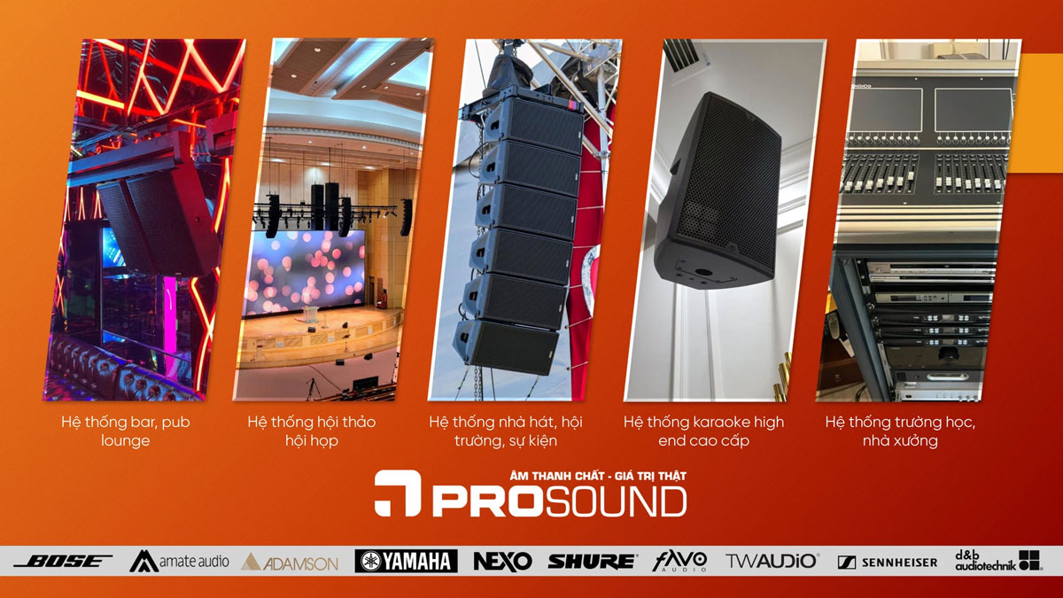 Hành trình 10 năm mang công nghệ âm thanh quốc tế đến với người Việt của Pro Sound Việt Nam- Ảnh 2.