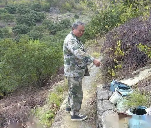 Thấy tiếng động lạ trong xô nước, cán bộ kiểm lâm hân hoan tìm thấy loài "tuyệt chủng" hơn 30 năm- Ảnh 1. Thấy tiếng động lạ trong xô nước, cán bộ kiểm lâm hân hoan tìm thấy loài "tuyệt chủng" hơn 30 năm- Ảnh 1.