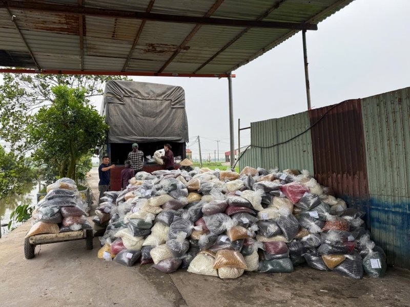 Đường dây 100 tấn thực phẩm chức năng giả: Nguyên Cục trưởng Nguyễn Thanh Phong nói về 5 lần nhận tiền- Ảnh 3.