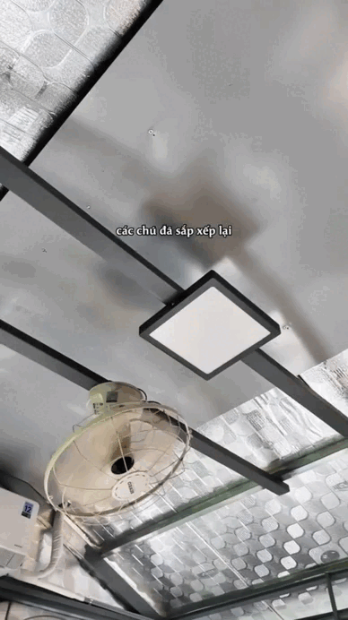 "Chị bán gạo" hot nhất TikTok xây villa cho cún cưng, 2 triệu người cảm thấy... "thua đời"- Ảnh 6. "Chị bán gạo" hot nhất TikTok xây villa cho cún cưng, 2 triệu người cảm thấy... "thua đời"- Ảnh 6.