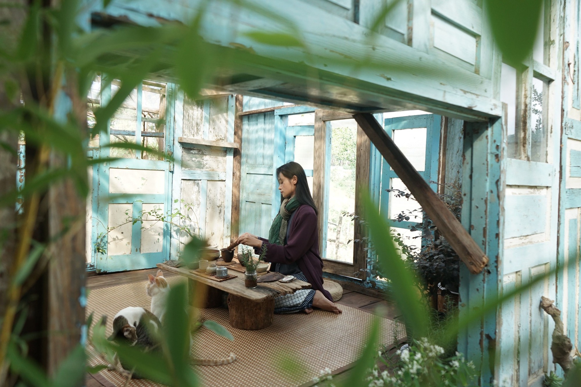 Những cô gái bỏ phố về rừng: Gieo mầm xanh từ những giấc mơ lành- Ảnh 1.