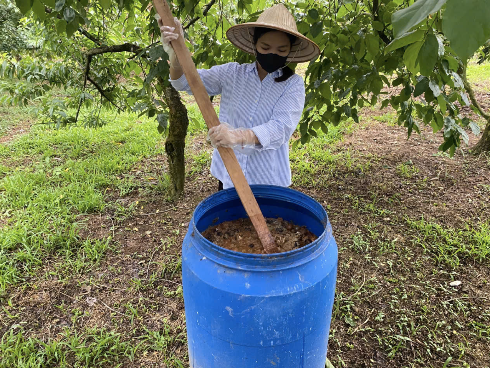 Những cô gái bỏ phố về rừng: Gieo mầm xanh từ những giấc mơ lành- Ảnh 7.