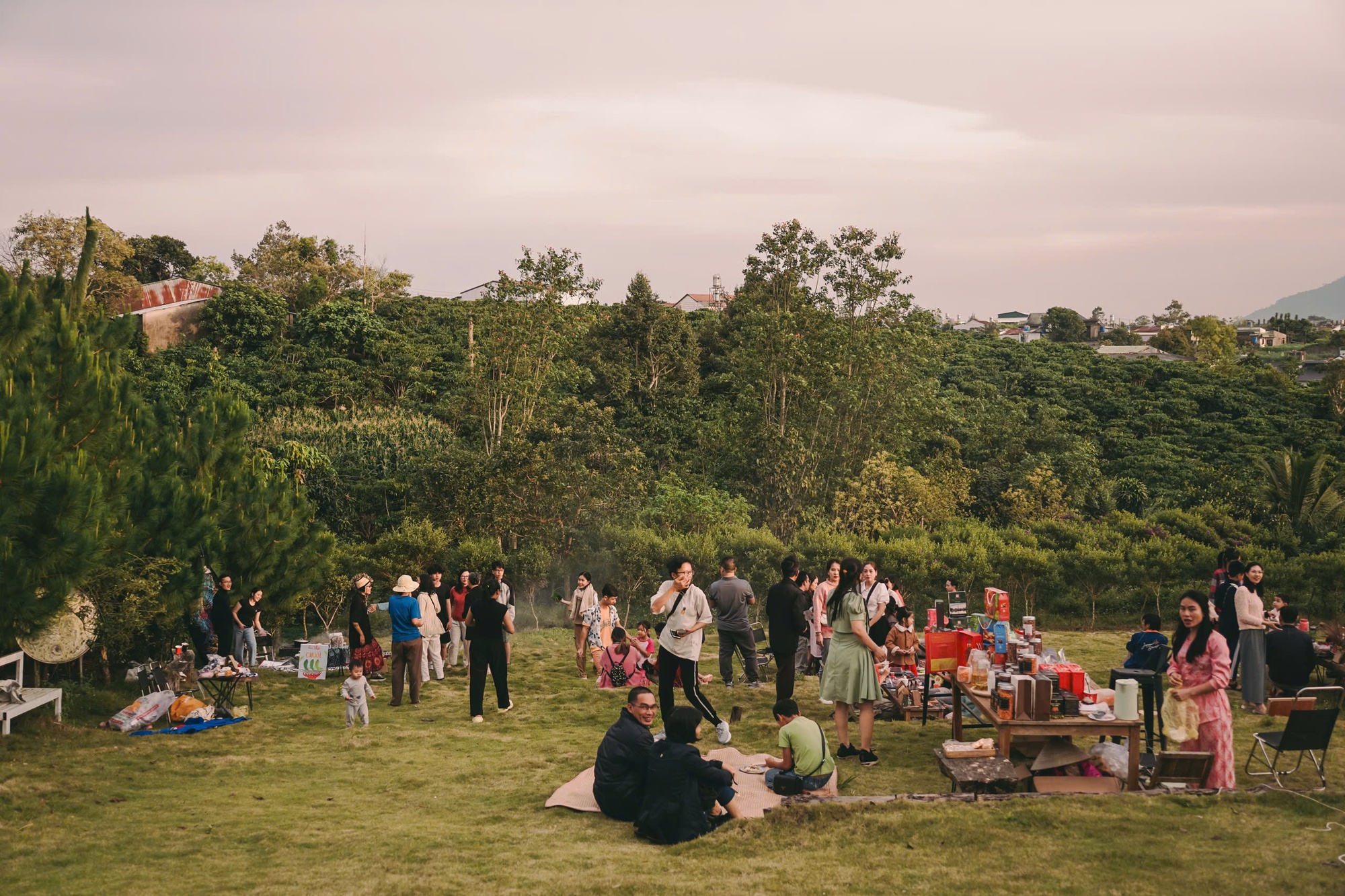 Những cô gái bỏ phố về rừng: Gieo mầm xanh từ những giấc mơ lành- Ảnh 4.