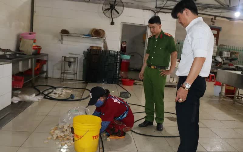 Đồng Nai: Phát hiện nhiều mẫu chả dương tính với hàn the- Ảnh 1.