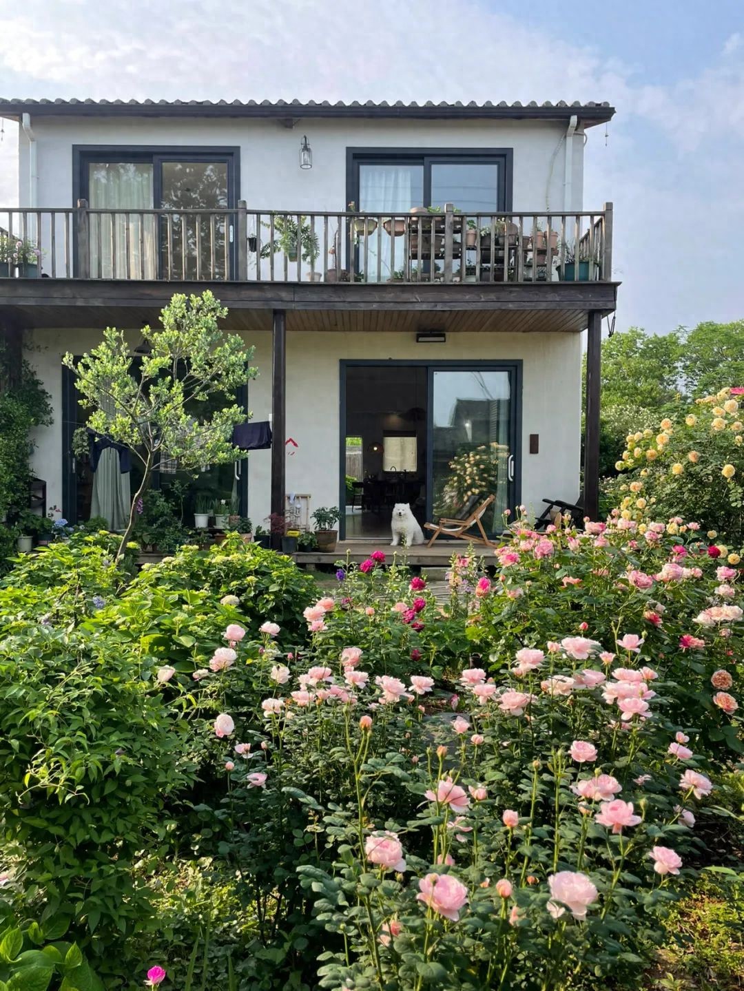 Cô gái 28 tuổi biến căn nhà cũ thành tổ ấm phong cách phương Tây khiến cư dân mạng phát sốt: “Sân vườn như mơ, ai cũng muốn sống ở đó”- Ảnh 1.