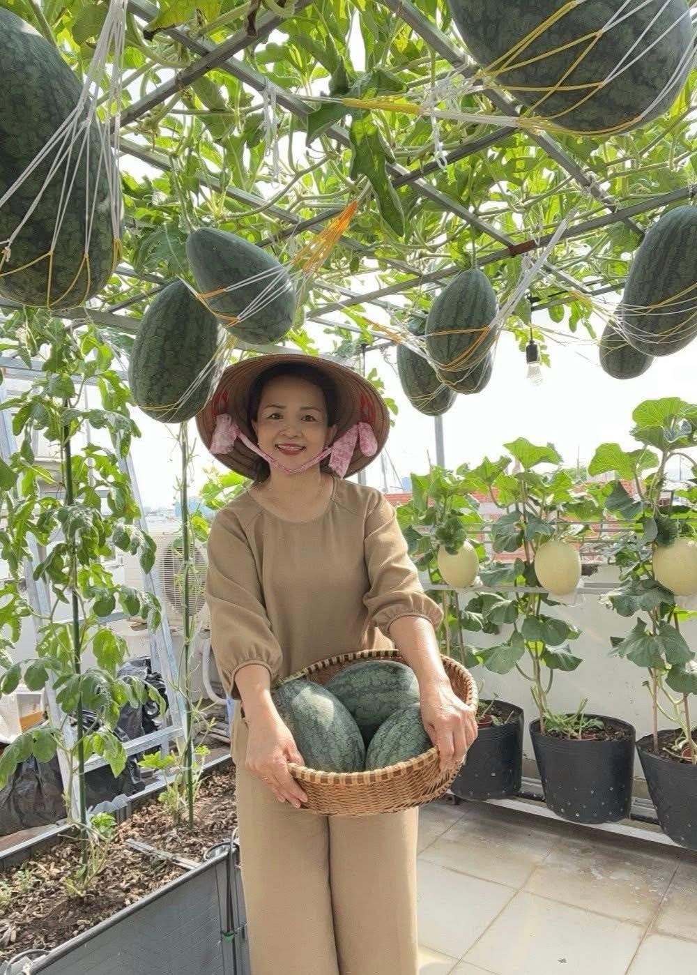 Chồng đầu tư cho vợ gần 100m2 làm vườn sân thượng, thu vài tạ trái ngọt mỗi năm: Thành quả kinh ngạc!- Ảnh 10.