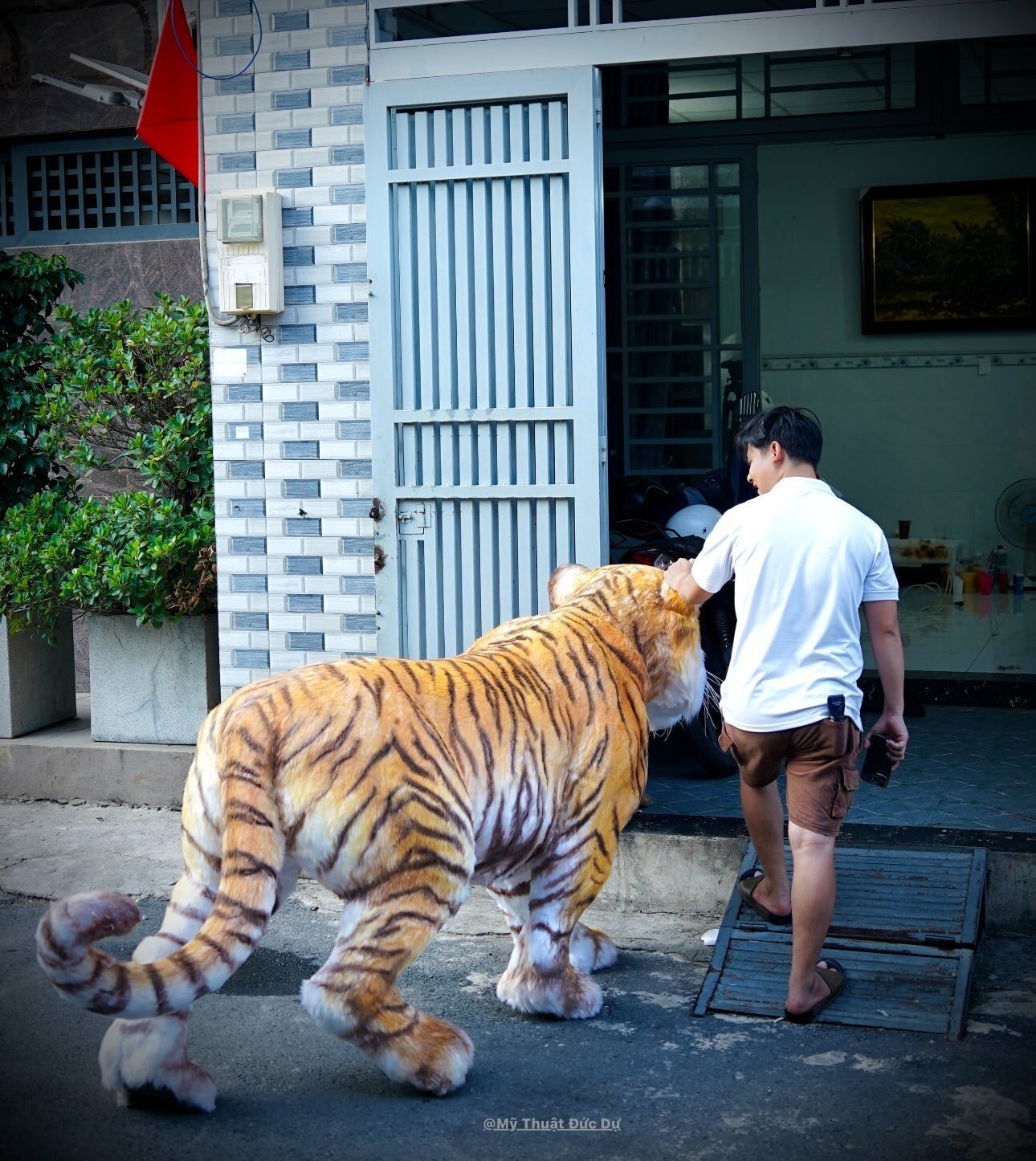 Chàng trai TP.HCM làm mô hình hổ Belgan giống thật khiến người trên phố hết hồn- Ảnh 5.