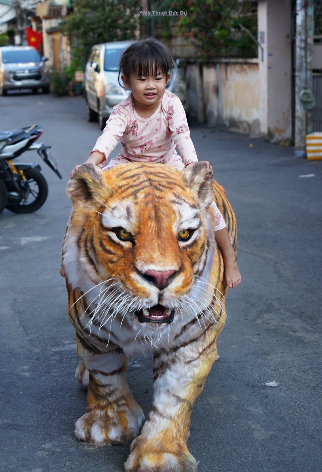 Chàng trai TP.HCM làm mô hình hổ Belgan giống thật khiến người trên phố hết hồn- Ảnh 4.