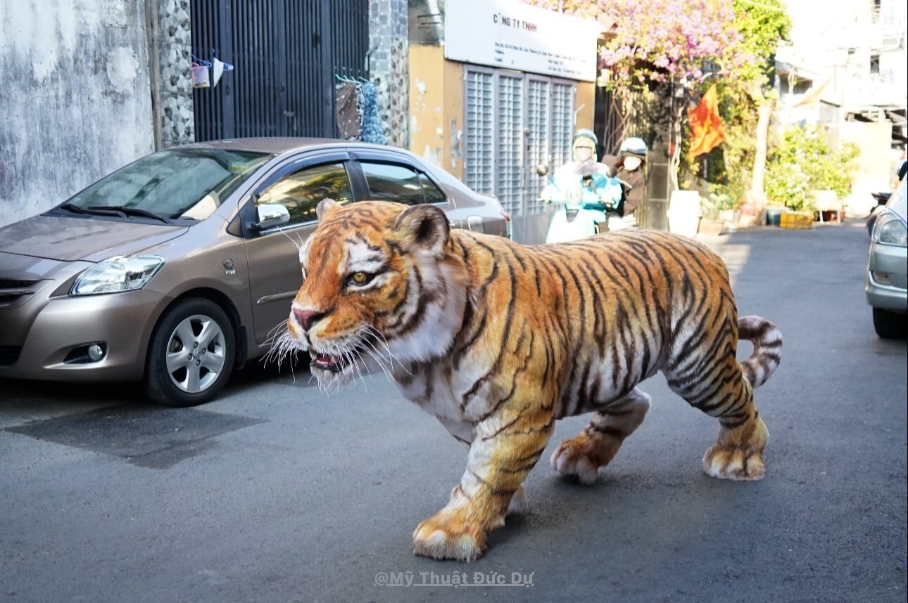 Chàng trai TP.HCM làm mô hình hổ Belgan giống thật khiến người trên phố hết hồn- Ảnh 1.