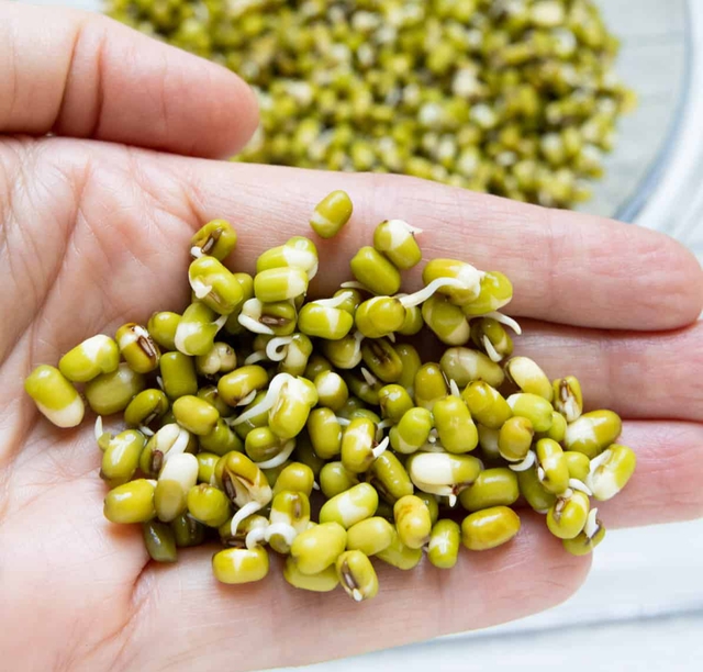 Trong nhà có 4 thực phẩm này mọc mầm đừng dại vứt đi: Không độc còn “lãi” gấp mấy lần dinh dưỡng!- Ảnh 2. Trong nhà có 4 thực phẩm này mọc mầm đừng dại vứt đi: Không độc còn “lãi” gấp mấy lần dinh dưỡng!- Ảnh 2.