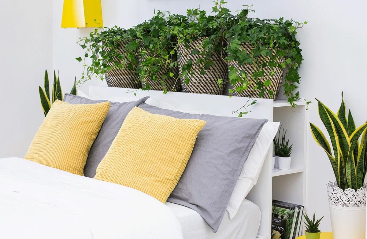 Tưởng đặt 5 thứ này ở đầu giường sẽ tiện, nào ngờ chúng 