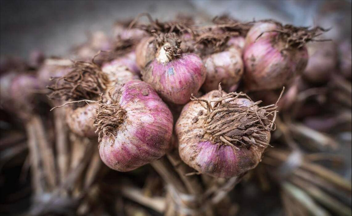 5 loại tỏi không nên mua - đến cả người bán cũng không dám ăn!- Ảnh 2.