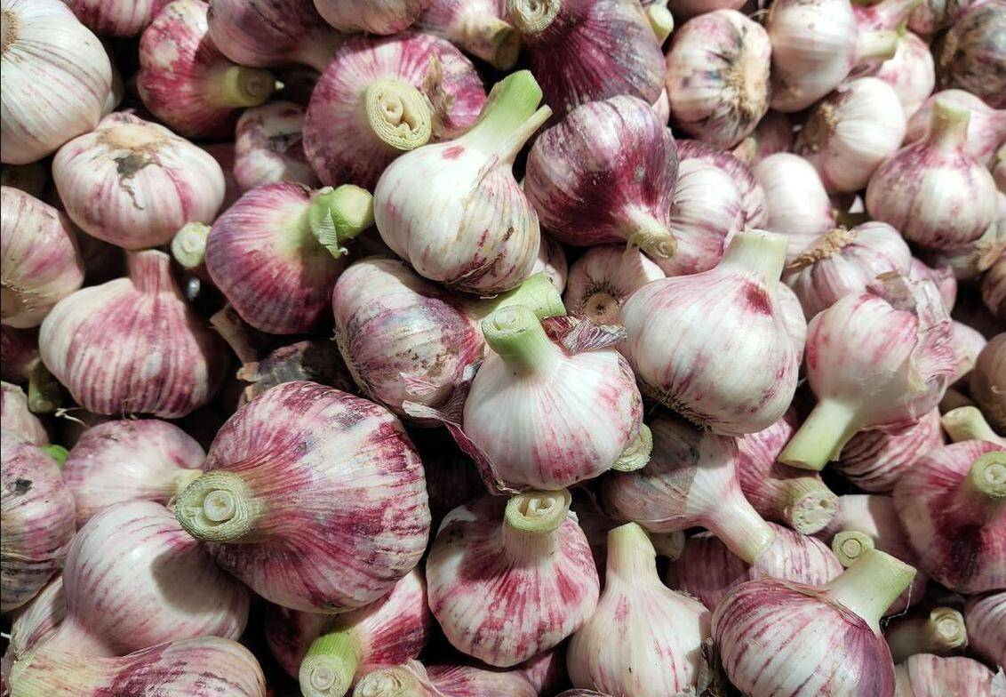 5 loại tỏi không nên mua - đến cả người bán cũng không dám ăn!- Ảnh 1.
