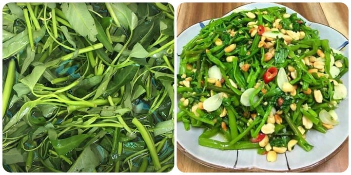 Ăn rau muống hàng ngày có tốt?- Ảnh 1. Ăn rau muống hàng ngày có tốt?- Ảnh 1.