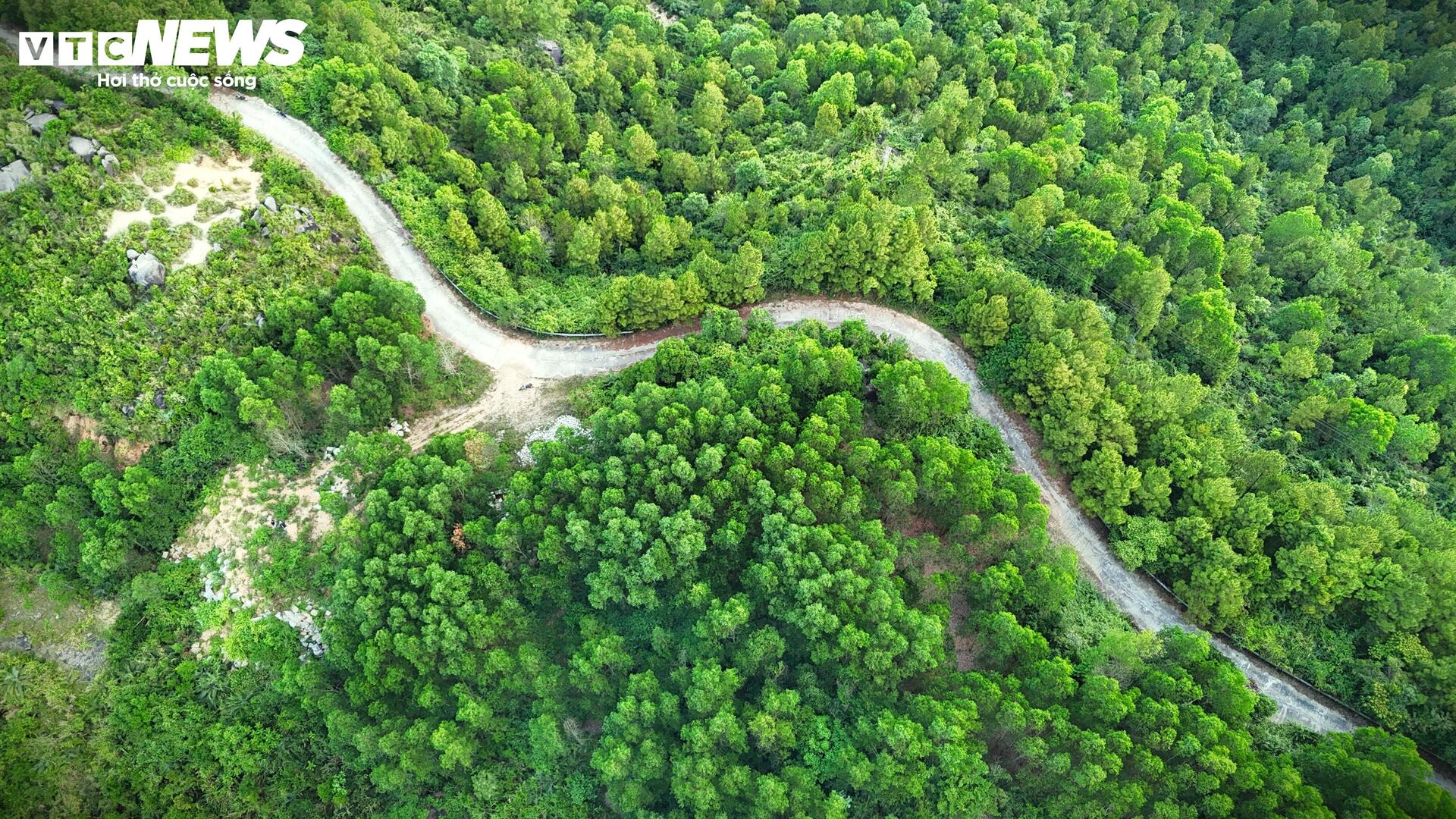 Khám phá Vũng Chua- ‘nóc nhà’ mây phủ của phố biển Quy Nhơn- Ảnh 7.