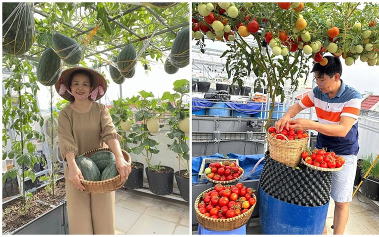 Chồng đầu tư cho vợ gần 100m2 làm vườn sân thượng, thu vài tạ trái ngọt mỗi năm: Thành quả kinh ngạc!- Ảnh 1.