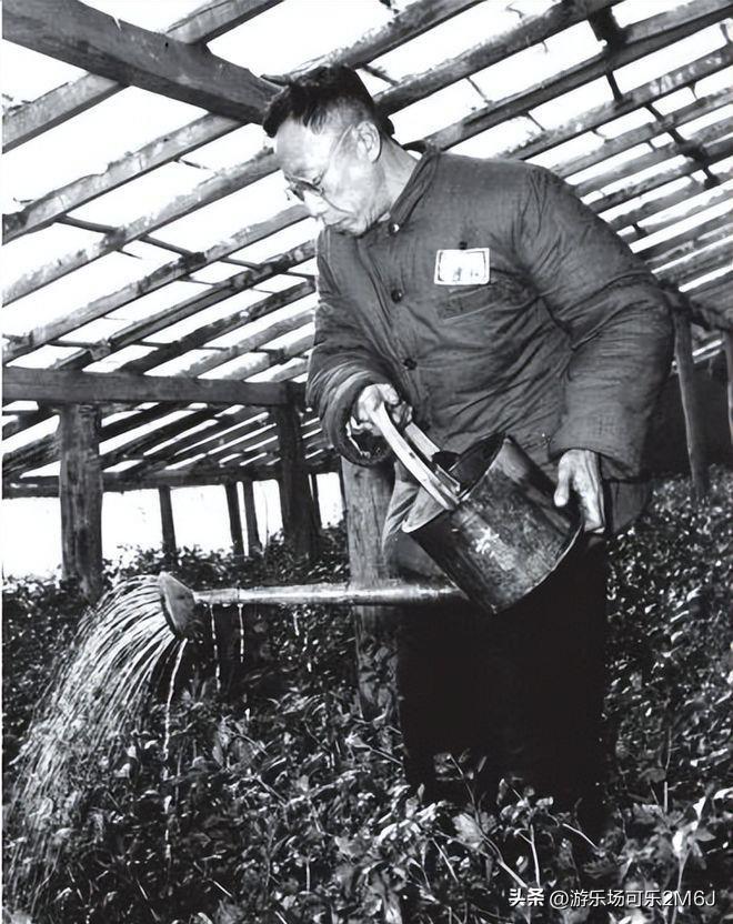 Sau khi trở thành dân thường, Phổ Nghi xin làm 2 nghề này nhưng đều bị từ chối, lý do vì sao?- Ảnh 2.