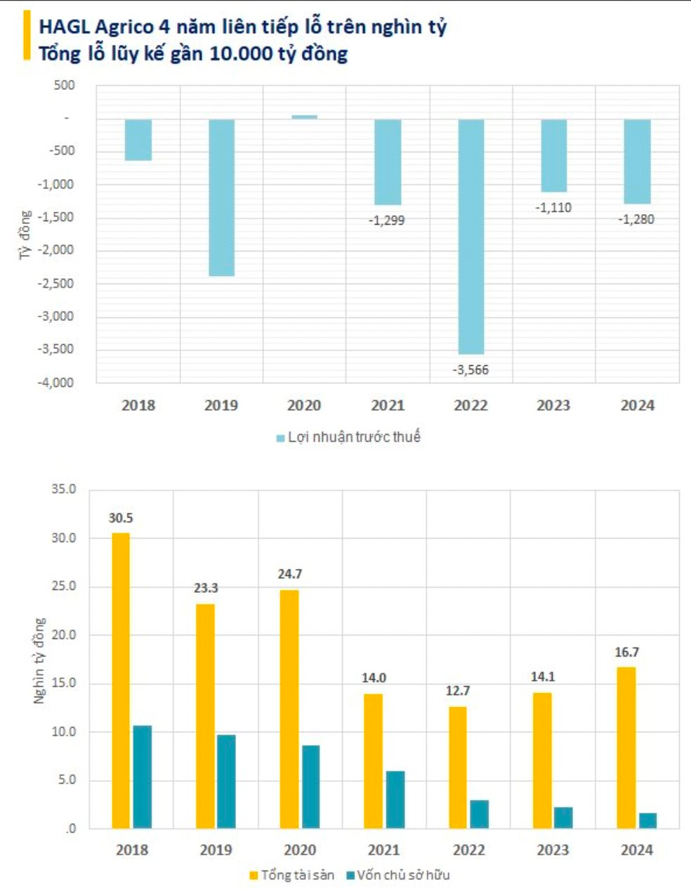 Lỗ lũy kế gần 10.000 tỷ, HAGL Agrico khi nào hết lỗ?- Ảnh 2.