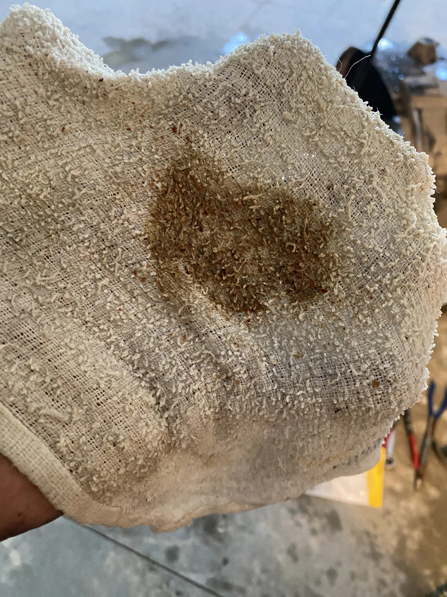 Bác sĩ khuyên bạn: Tiết kiệm mấy cũng nên thay 7 thứ này thường xuyên kẻo ngã bệnh lúc nào không hay- Ảnh 1.