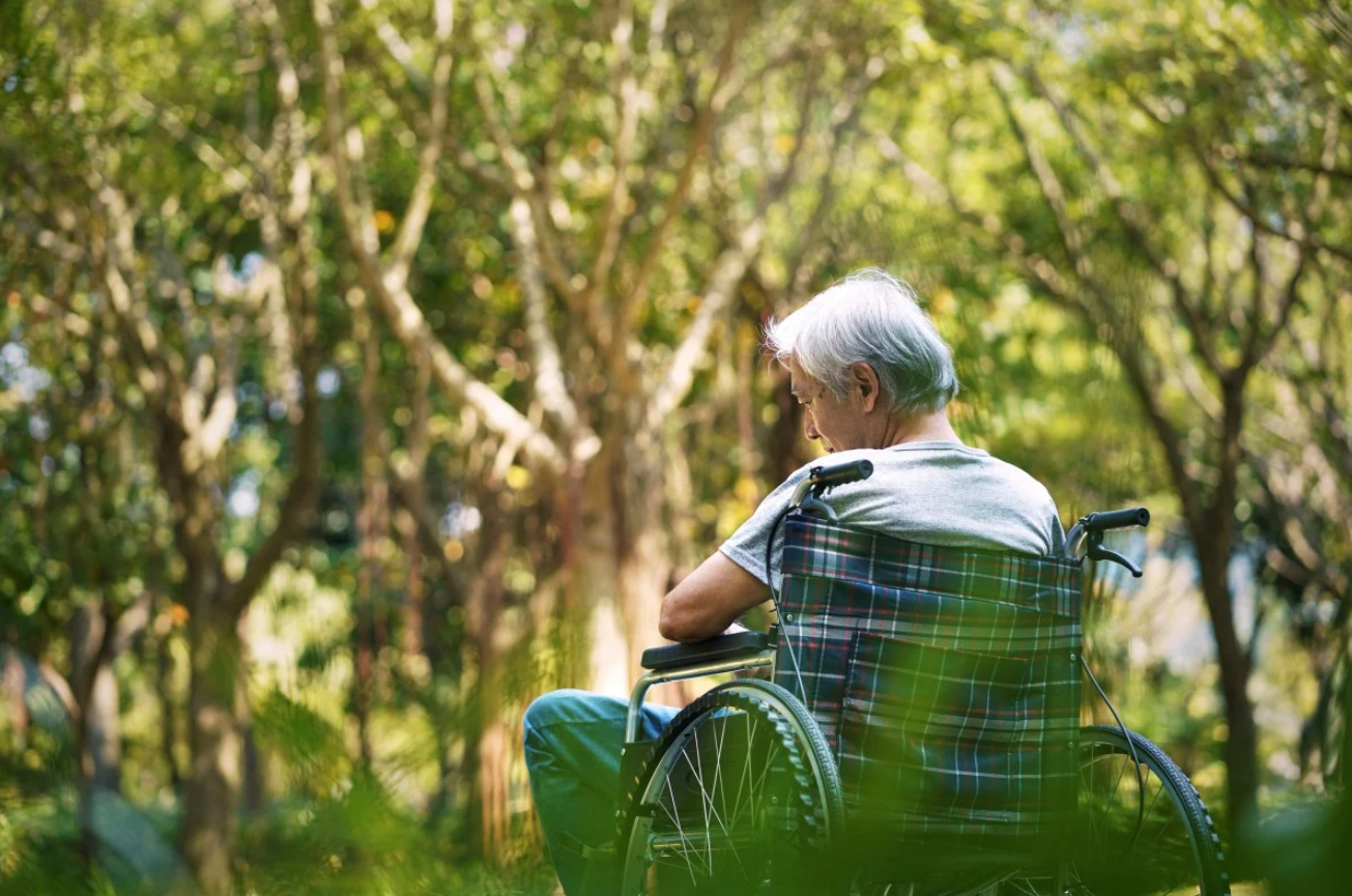 Báo động: Gia tăng bệnh mất trí nhớ nhanh nhất thế giới, quốc gia này sẽ có 115 triệu ca vào năm 2050- Ảnh 1.