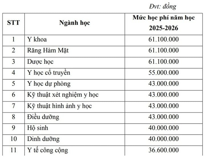Học phí các trường Y Dược tăng cao trong năm 2025- Ảnh 2.