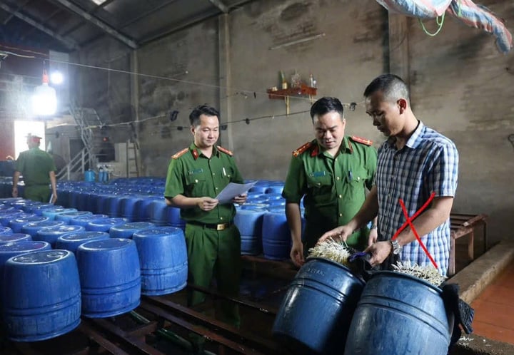 Khởi tố chủ cơ sở bán 60 tấn giá đỗ dùng chất kích thích tăng trưởng- Ảnh 1. Khởi tố chủ cơ sở bán 60 tấn giá đỗ dùng chất kích thích tăng trưởng- Ảnh 1.